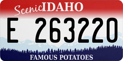 ID license plate E263220