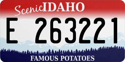 ID license plate E263221