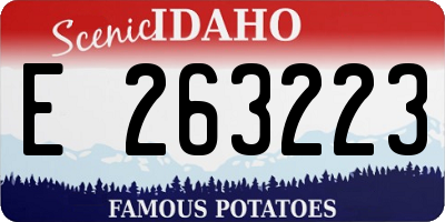 ID license plate E263223