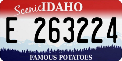 ID license plate E263224