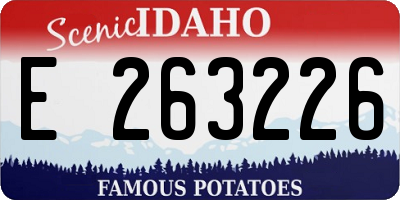 ID license plate E263226