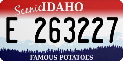 ID license plate E263227