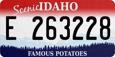 ID license plate E263228