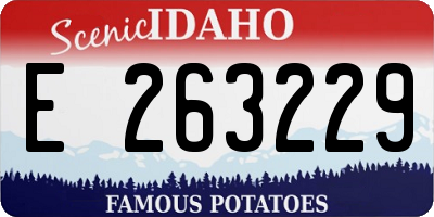 ID license plate E263229