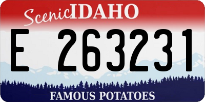 ID license plate E263231