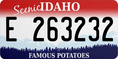 ID license plate E263232