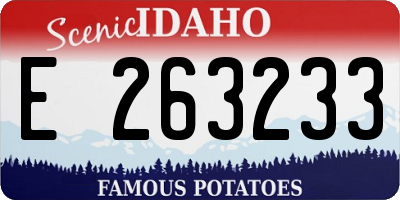 ID license plate E263233