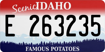 ID license plate E263235
