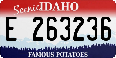 ID license plate E263236