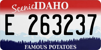 ID license plate E263237