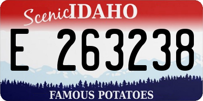 ID license plate E263238