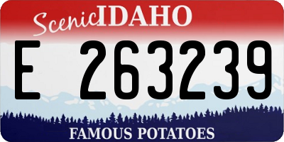 ID license plate E263239