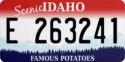 ID license plate E263241