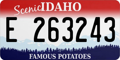 ID license plate E263243