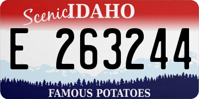 ID license plate E263244