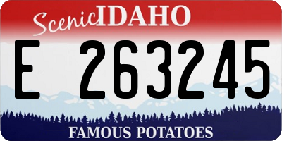 ID license plate E263245