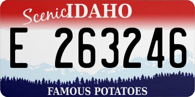 ID license plate E263246