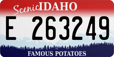 ID license plate E263249