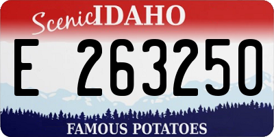 ID license plate E263250