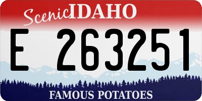ID license plate E263251