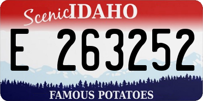 ID license plate E263252