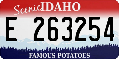 ID license plate E263254