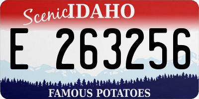 ID license plate E263256
