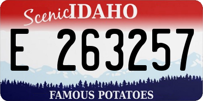 ID license plate E263257