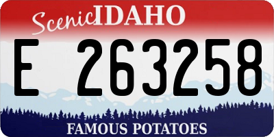 ID license plate E263258