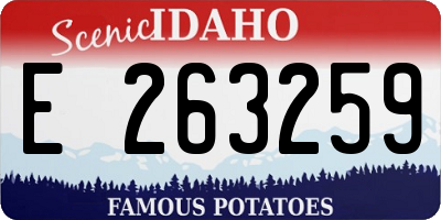 ID license plate E263259