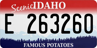 ID license plate E263260