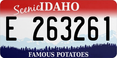ID license plate E263261