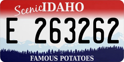 ID license plate E263262