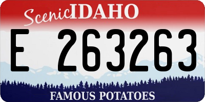 ID license plate E263263