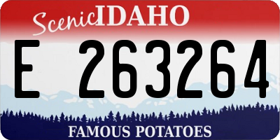 ID license plate E263264