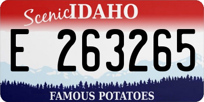 ID license plate E263265