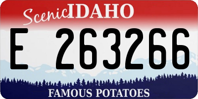 ID license plate E263266