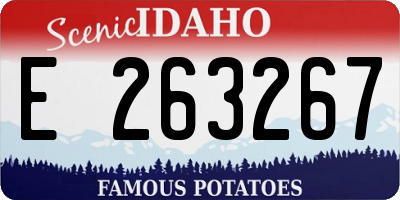 ID license plate E263267