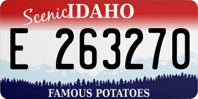 ID license plate E263270