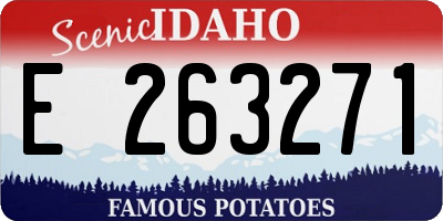 ID license plate E263271