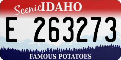 ID license plate E263273