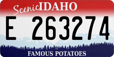 ID license plate E263274
