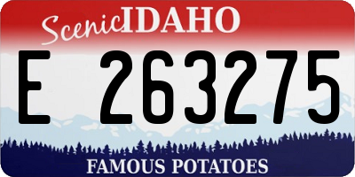 ID license plate E263275
