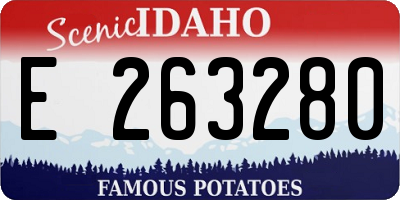 ID license plate E263280