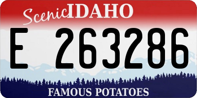 ID license plate E263286