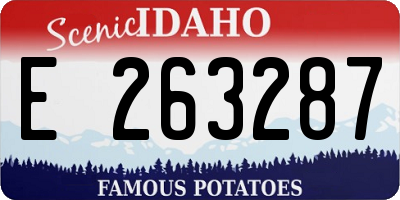 ID license plate E263287