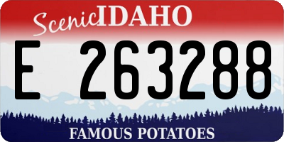 ID license plate E263288