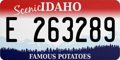 ID license plate E263289