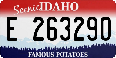 ID license plate E263290