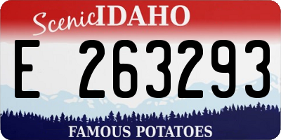 ID license plate E263293